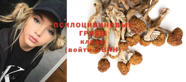 дмт Алзамай
