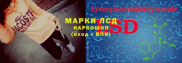 дмт Алзамай